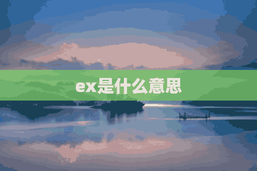 ex是什么意思(excuse是什么意思)